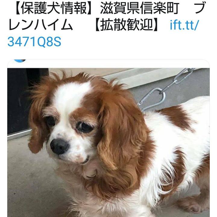 78bfd16e 925e 42c5 b2f4 875799e04be2 1585968746269