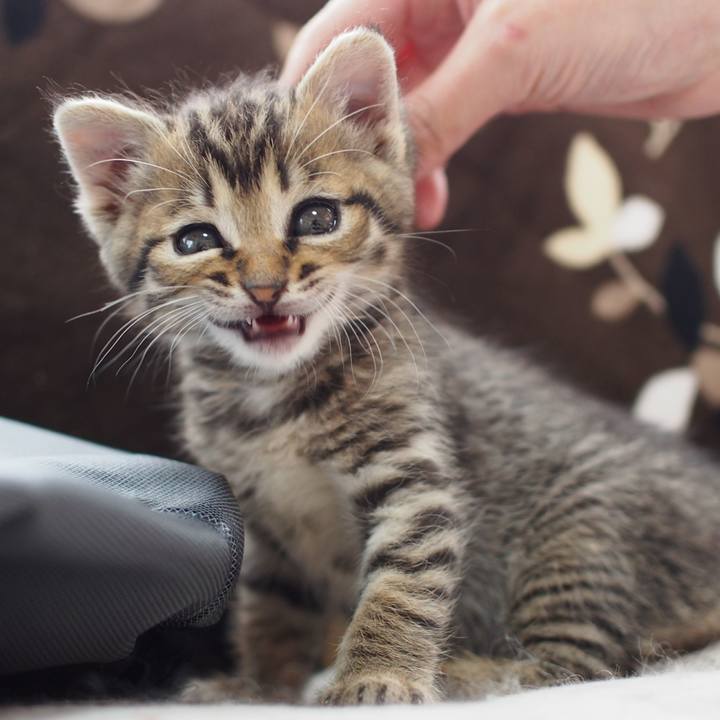 78bfd19d 4064 41e5 a192 2928ba5e5fc7 1560579379247