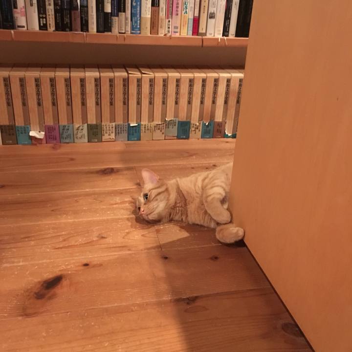 78bfd842 3055 433c 8456 a7cd5de86133 1559436237506