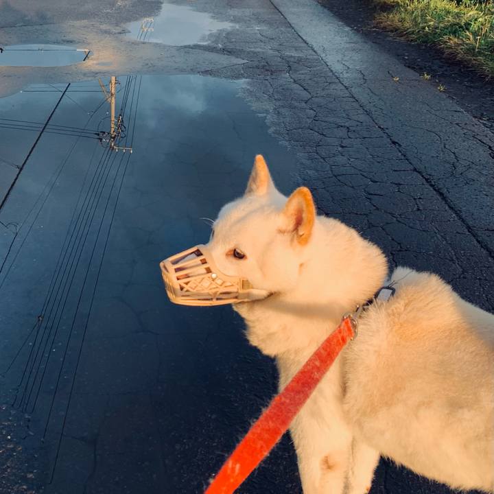 78bfdf91 02dc 4c5c 87f3 d6d7b94106ed 1602021575606