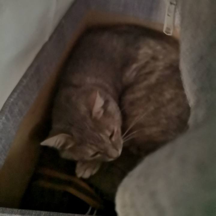 78bfe6d7 d9c7 4731 a723 0d55cdabc6fe 1590795761734