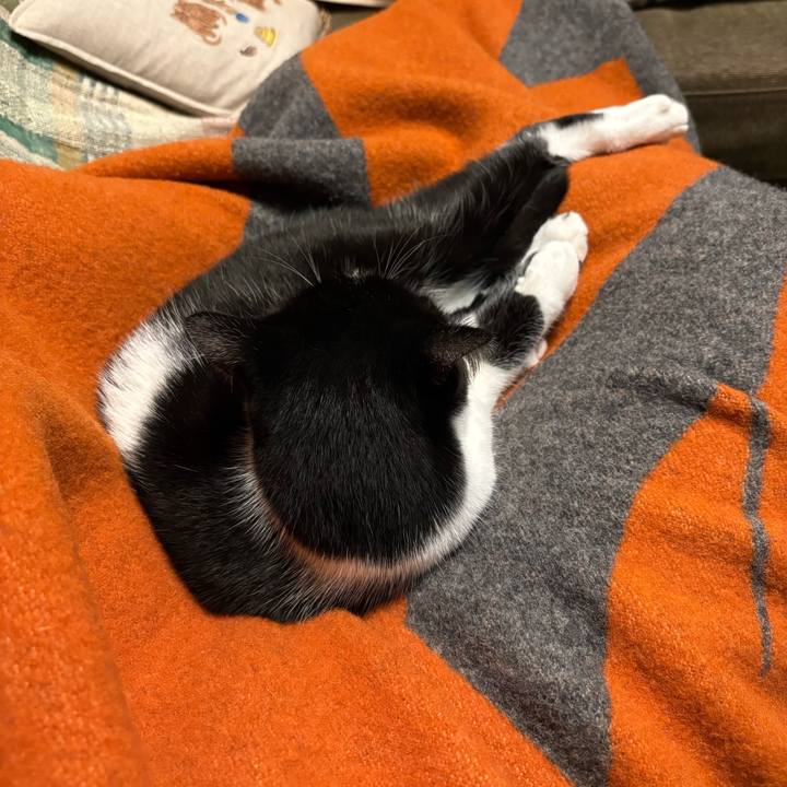 78bff2d1 75a6 4108 a989 205883b4eae0 1762831616335