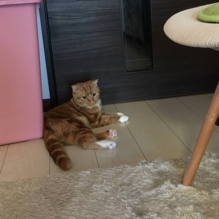 78c00322 7ab5 4958 8326 1a90ebd40d23 1521589328549