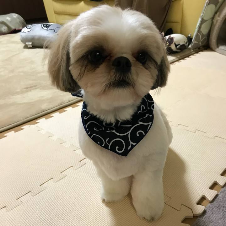 78c02c07 e322 42cf aeaf bd6cd8230e57 1606268493628