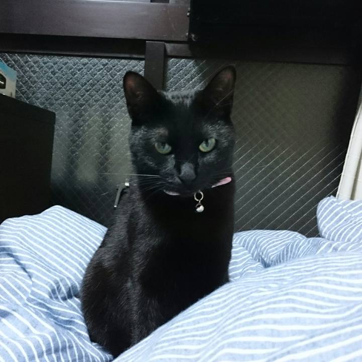 78c03262 4107 41b2 b54b 3343f51573be 1527291902229