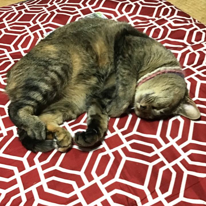 78c04d29 9e90 4a8f aaaa 31ec3014cd95 1625828796171