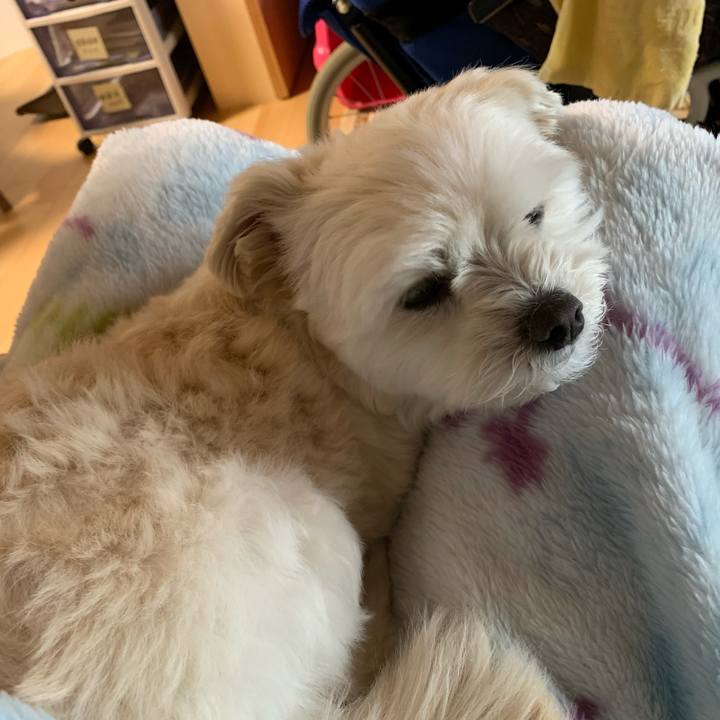 78c04e73 c1d6 454d 8ed7 9117a7f6ba64 1581998651401