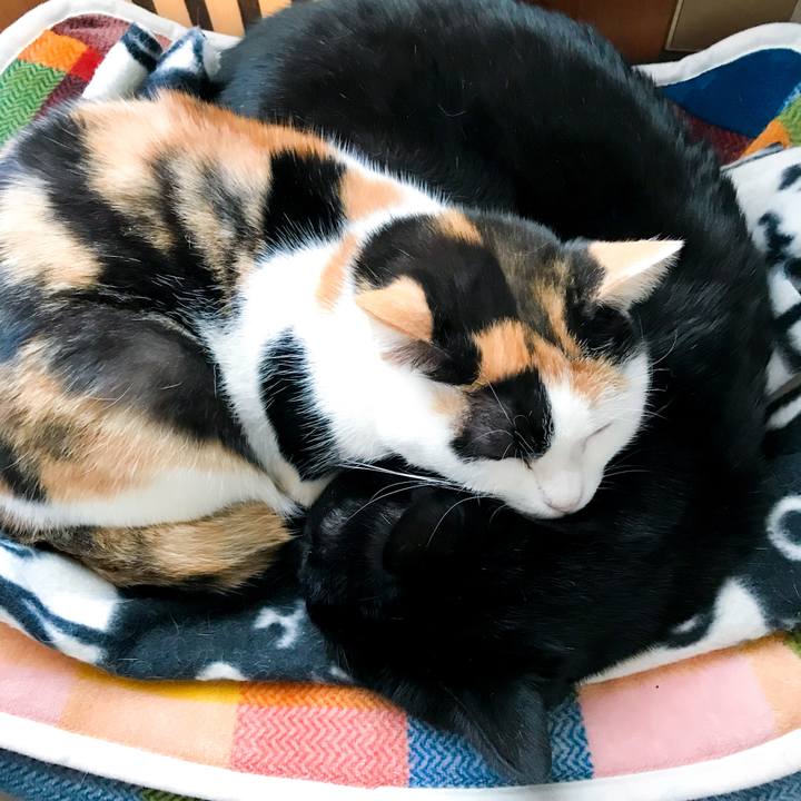 78c07ee6 d689 4288 89ac 06d1bedf410a 1519005176126