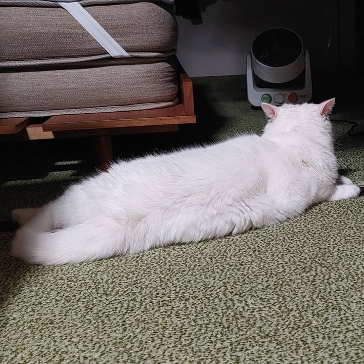 78c08cf5 64e7 40ea bc2c d4997b2fb3a1 1655212762361