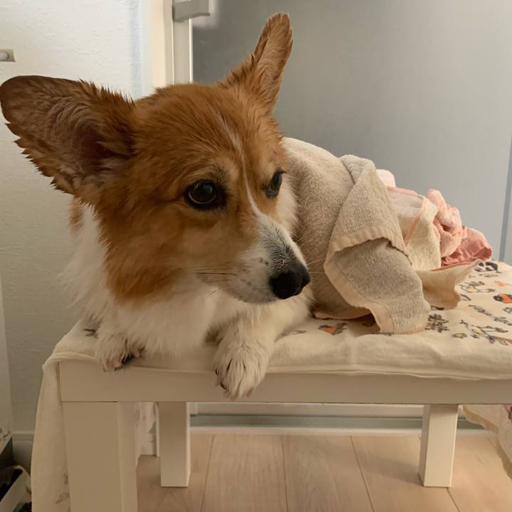 78c114b8 0722 42f2 968b e7555dde0bed 1664262906537