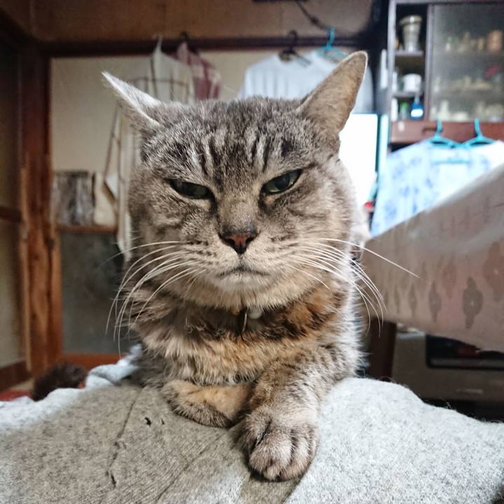 78c15c1a 7555 459e aefc 67cb93907621 1576792760759