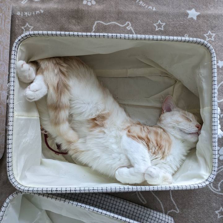 78c161ad 13f1 4b65 8fa4 b7c3314f1fdb 1697958356193