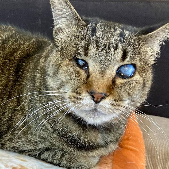 78c18f33 c61e 4c36 bb27 78714d42a4fa 1643327039926