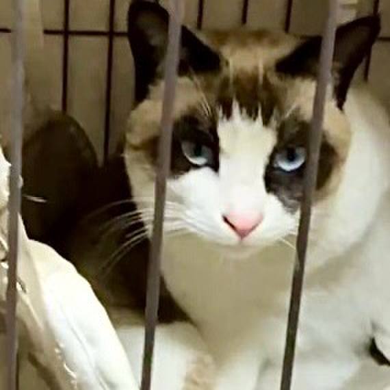 78c1c266 2c37 468c 896d 5bdc2b47e817 1737288822764