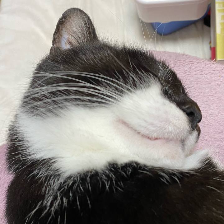 78c1cdb5 8049 4985 befa ed584a1abd73 1610806956289