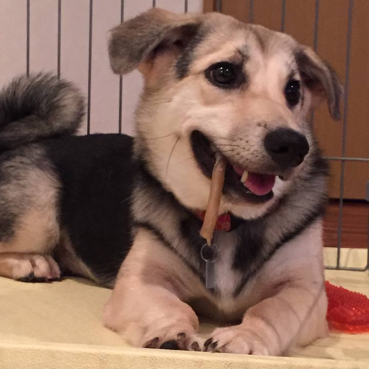 78c1cf86 b9c7 4349 8451 763688f5ea45 1513048041022