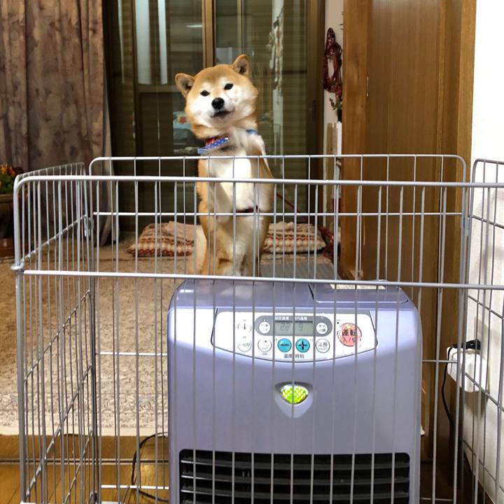 78c1e437 df49 4d94 83ec b3c06a7b5505 1546166921516