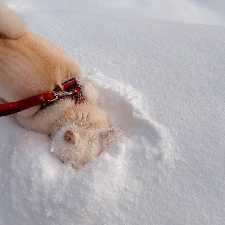 78c205a0 46a2 47e4 a177 2d53bf1080d6 1763503606470