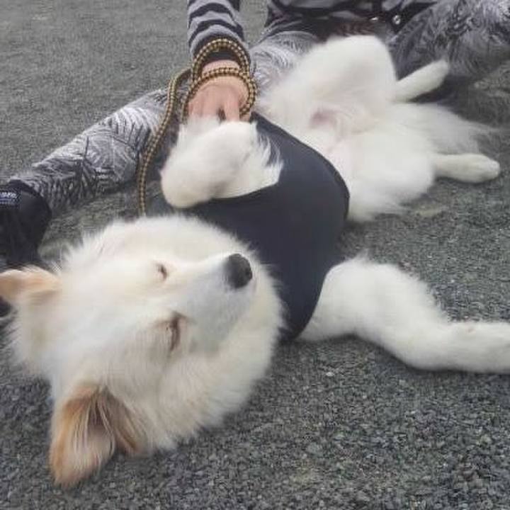 78c21c41 c779 4bab a7c9 a17478fe0eb9 1515988084033