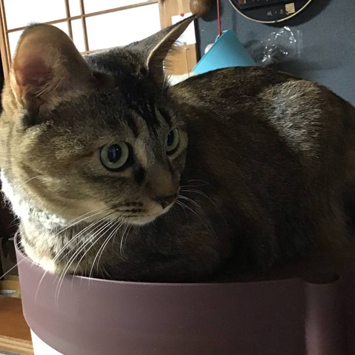 78c2228b d583 40a0 9e76 bf9577ac5c51 1649584755637