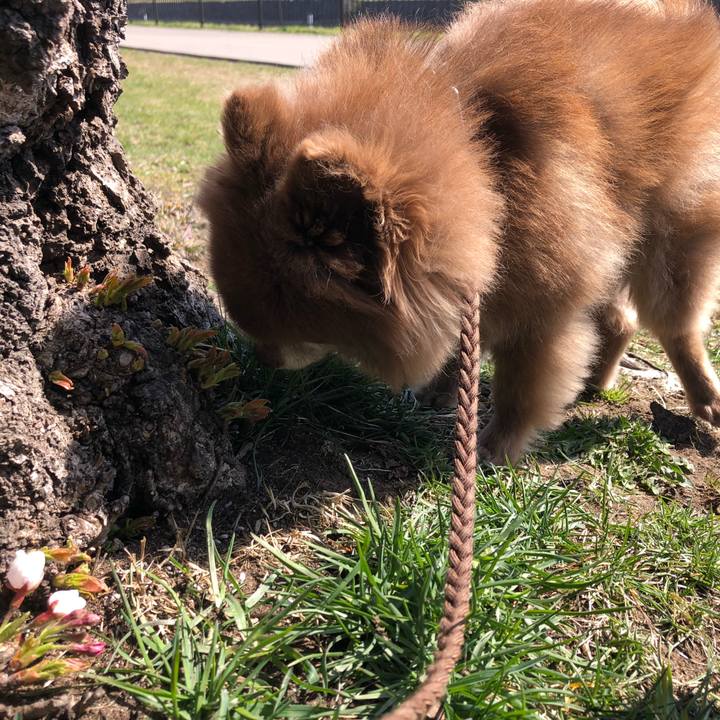 78c23abd 7804 4c48 9c86 b34ae5d240ad 1618202703833