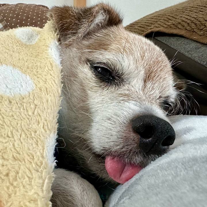 78c2dda2 70e4 42cb bc35 a43cc3a797cb 1732173604035