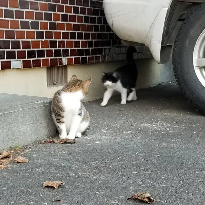 78c2e6fd 614e 460a bade b0172110d82e 1605428544167