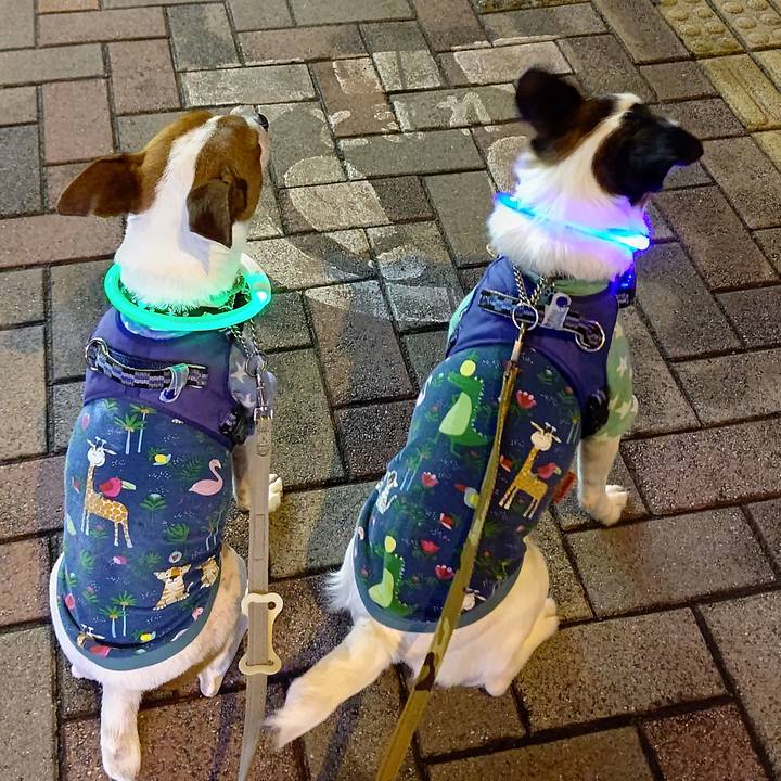 78c2ec75 a124 4b2e a949 aecc59dda312 1652697427710