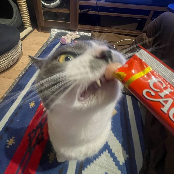 78c2ed86 701f 409a 957b 2a9a2896f3d6 1676540117306