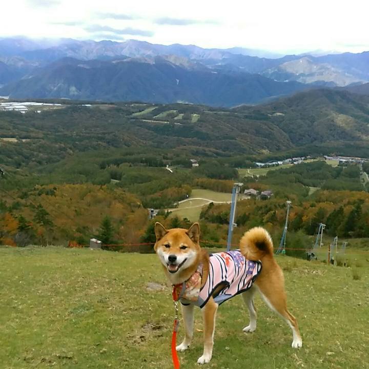 78c2f7f6 e9e3 441f b3b6 c390ad0635c3 1538908275193