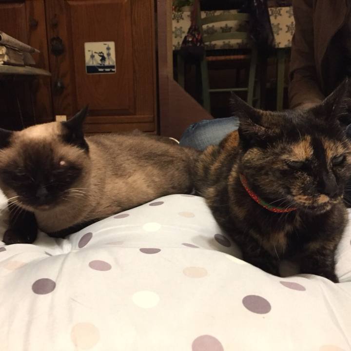 78c307ac b719 45a0 9bab dbe39926fcb5 1532869161291