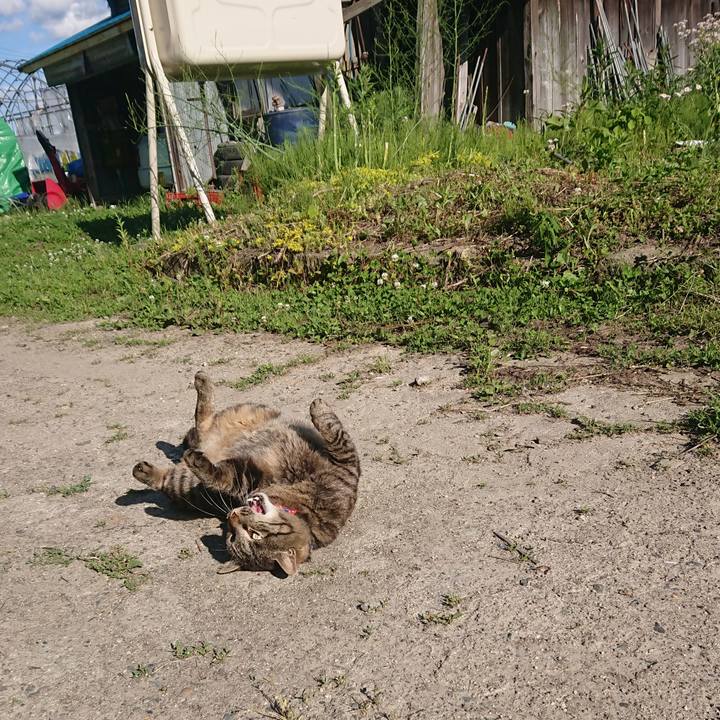 78c30ec3 34b8 4d25 807f eb58d66e7bdc 1655104921286