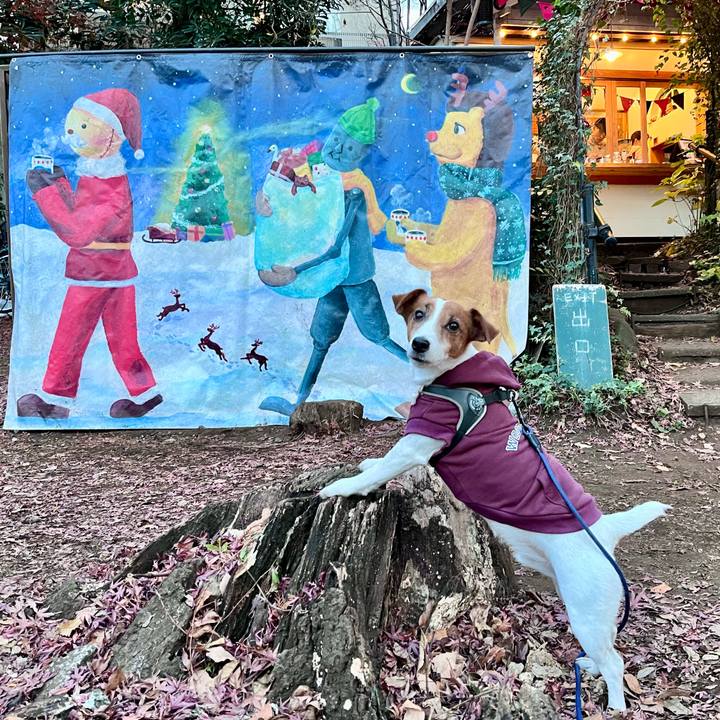 78c34690 6905 4f1a 9eaa 24b353e748d6 1703422146454