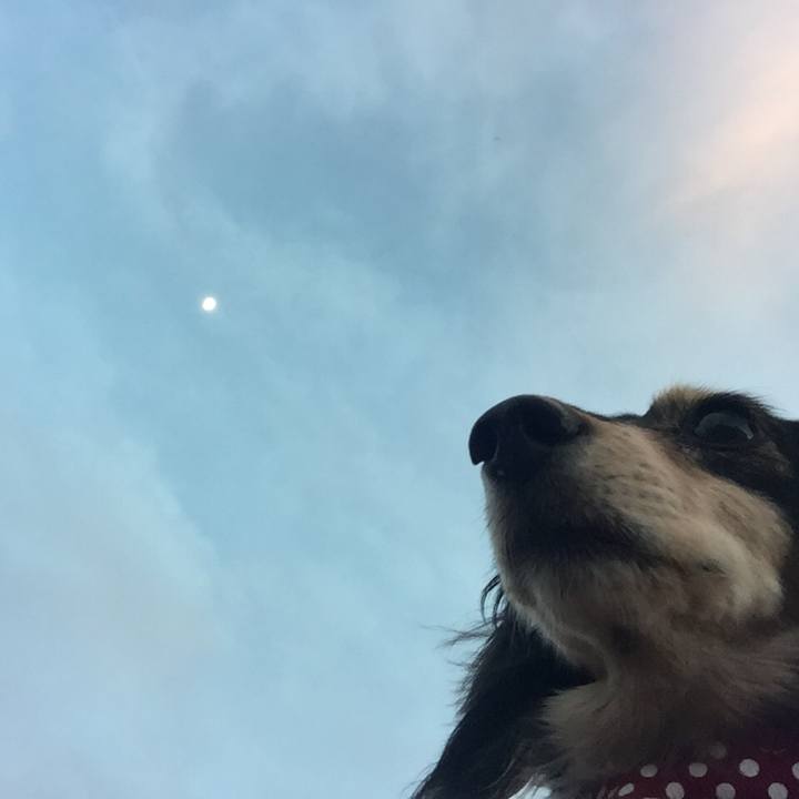 78c35eb4 bd55 457d 95a1 fe08944d3cd9 1529662474099