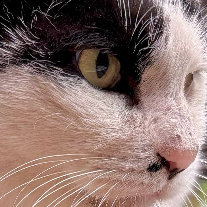 78c36be7 3906 4191 a067 973aa4b26454 1764376929565