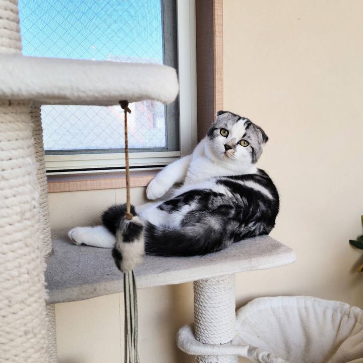 78c371f7 e2aa 4736 9f2f dfa0af57ed23 1637049781169