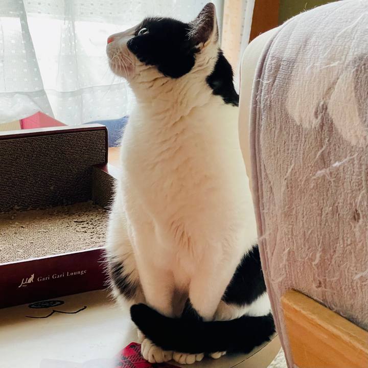 78c375d4 c5b0 49f0 a5b7 fab93dc11e50 1611282949379