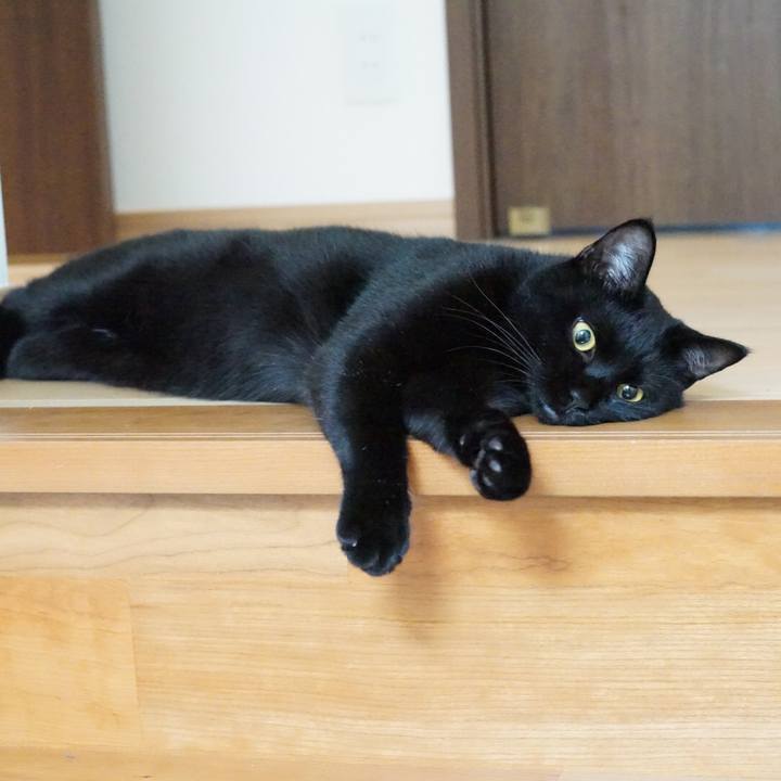 78c3d388 9e6b 46d3 806b 8dec2fed7bb2 1530142188771