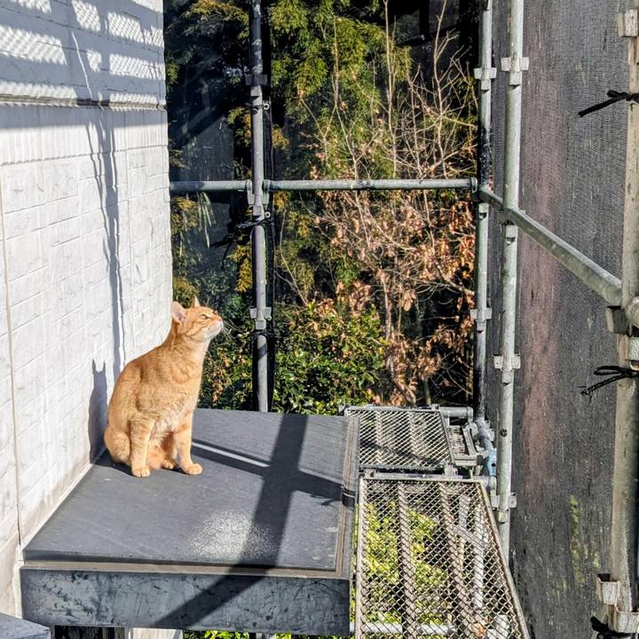 78c3d95e 80a9 44cb b724 8d18ef35c197 1771045937467