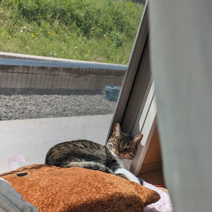 78c3e701 6fdc 439a 9bd5 a3f808a8962f 1714007347024