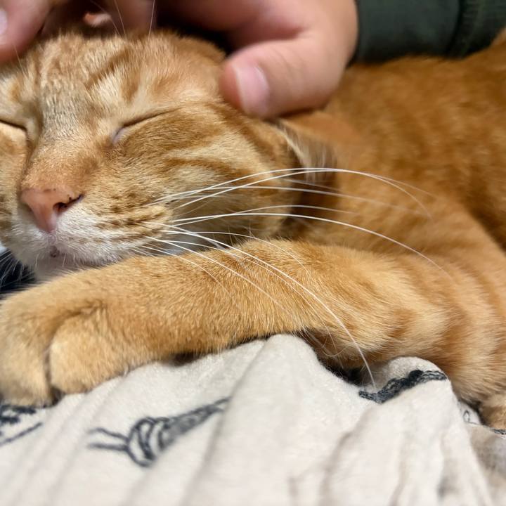 78c3e881 1b59 40cc a68c 02c2645c7d9d 1765013747447