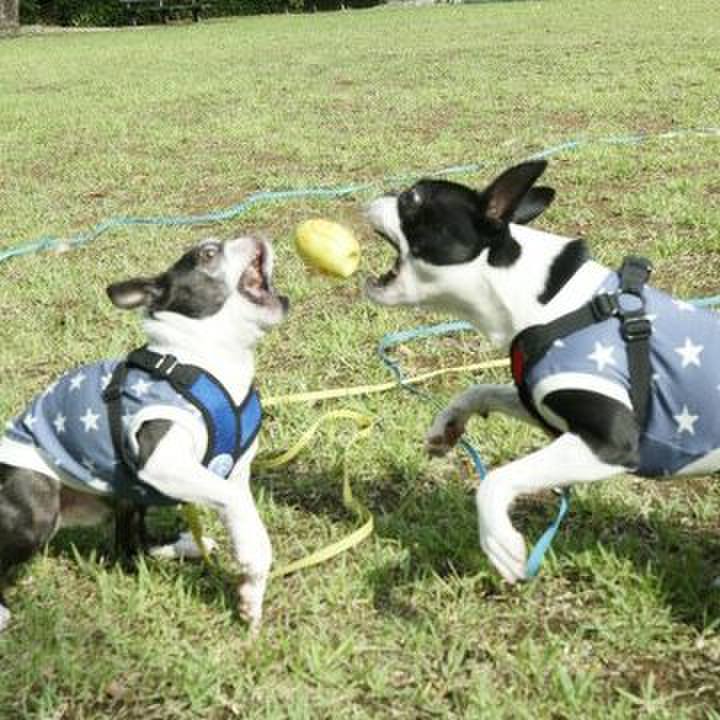 78c3f423 101a 4dd8 babd 8025531208d7 1560084434127