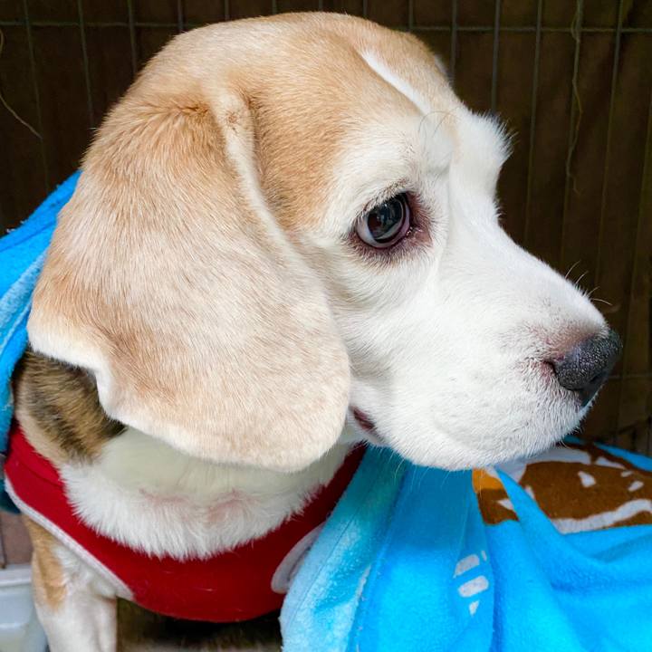 78c43b4d 4e0a 4831 b0d1 d3a39d08dcff 1580443589012