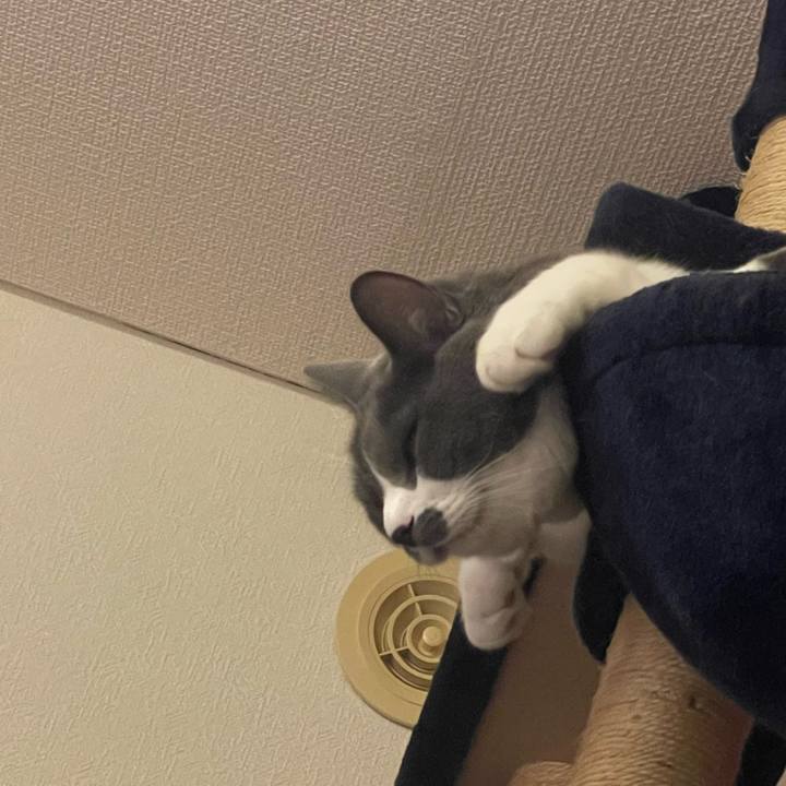 78c454f3 c362 4f54 a9b9 016d73ebd533 1727689392830