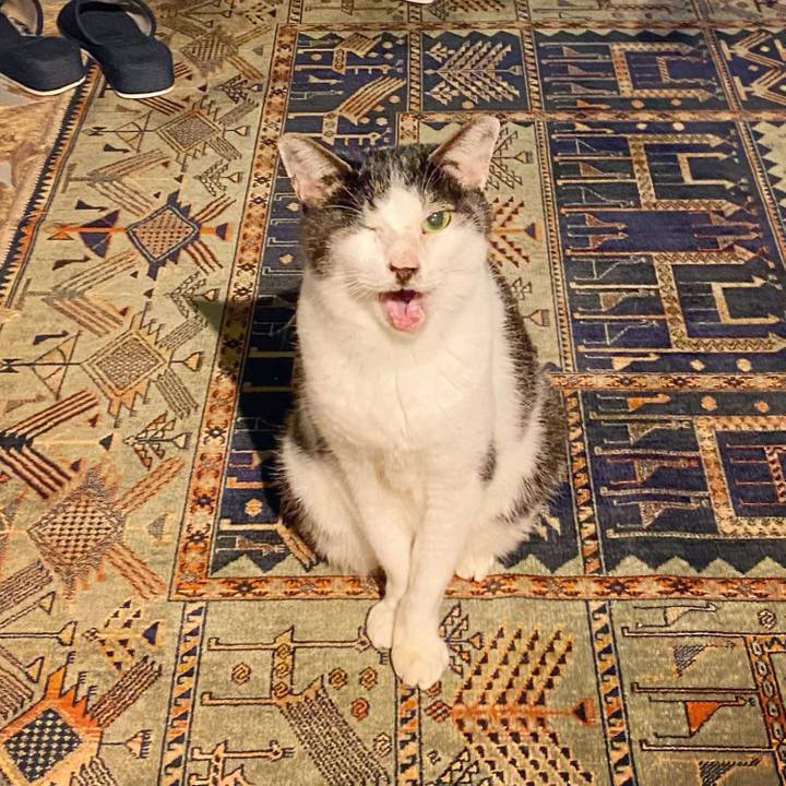 78c46529 d2ba 45c0 a025 2209da93d7ac 1608037123758