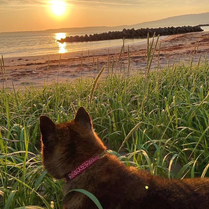 78c46c11 2396 4cb1 b411 db1e1755daec 1652782787336