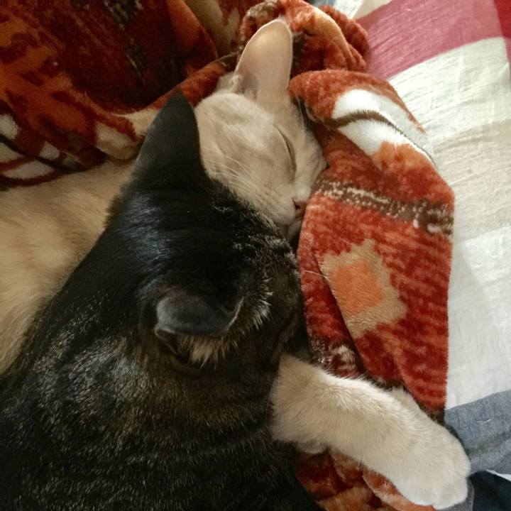 78c49150 8f8a 4964 a4bc 9caf28193e18 1521519012761