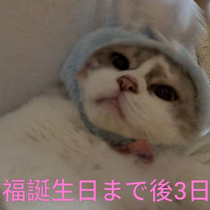 78c4c2a4 394a 4c99 9026 04438ac38390 1792613440031