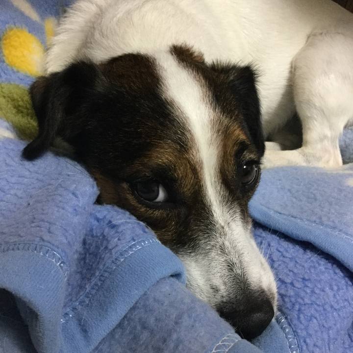 78c4d2b8 db92 43ab a21d 39ee8deef1ef 1541072839404