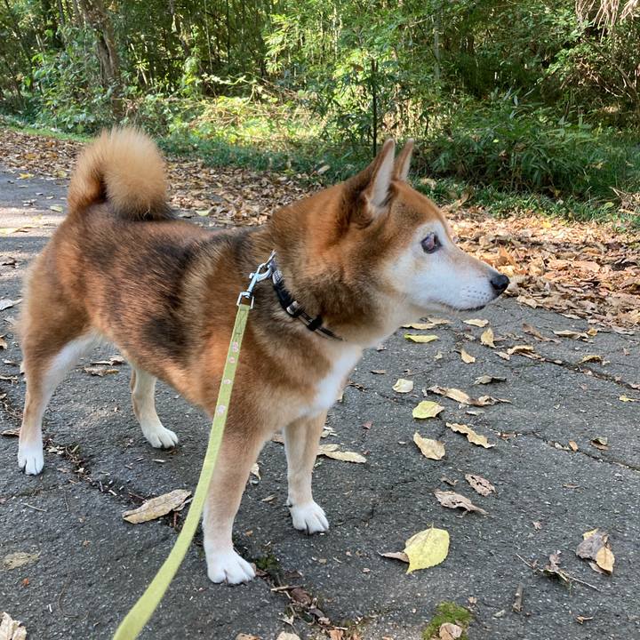 78c4d50d f254 40e8 ab95 61798050bd1b 1668748493439